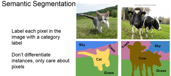 Semantic Segmentation